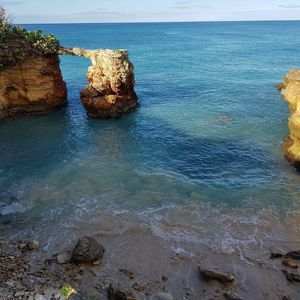 Meet your Posher, Eunice